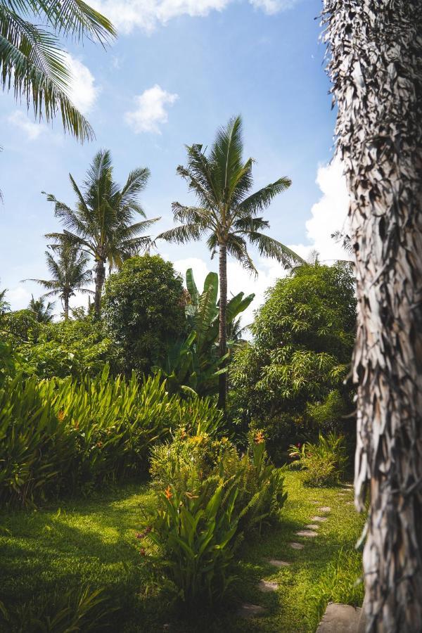 ゼネラル・ルナ Triangle Palms Siargaoヴィラ エクステリア 写真